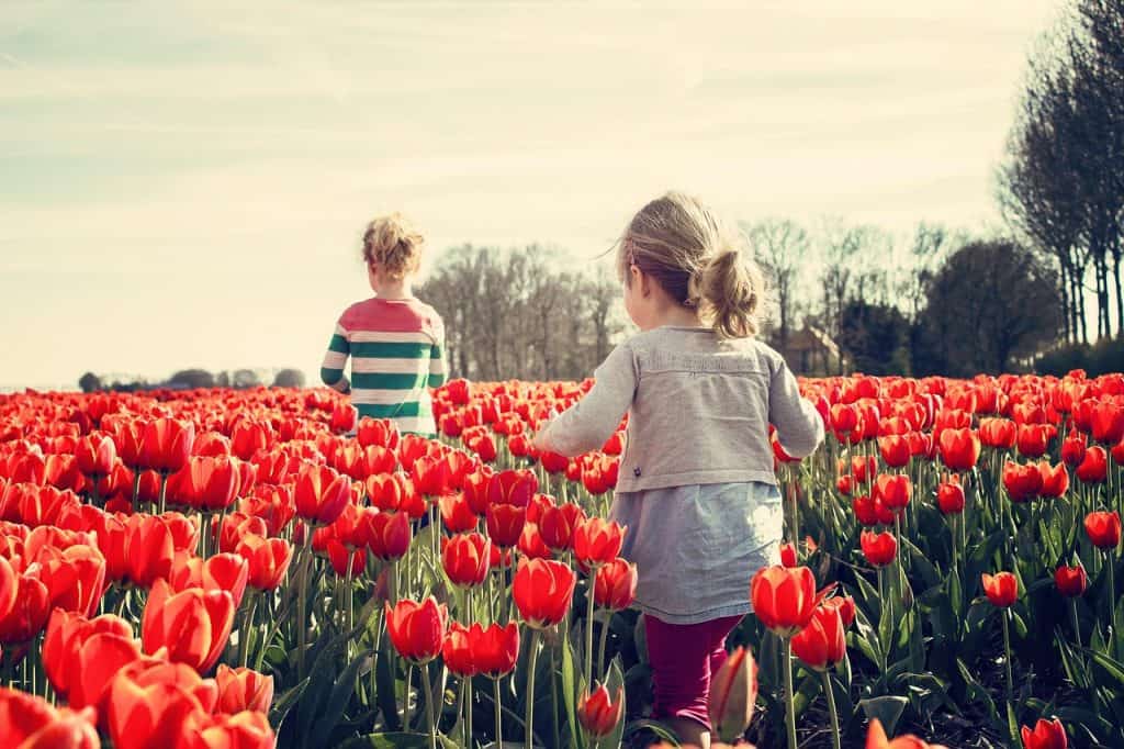 Children in a tulip field in the Netherlands